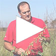 Bob scott standing in a field holding a weed with a play button icon