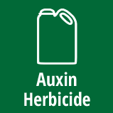 Auxin Herbicide