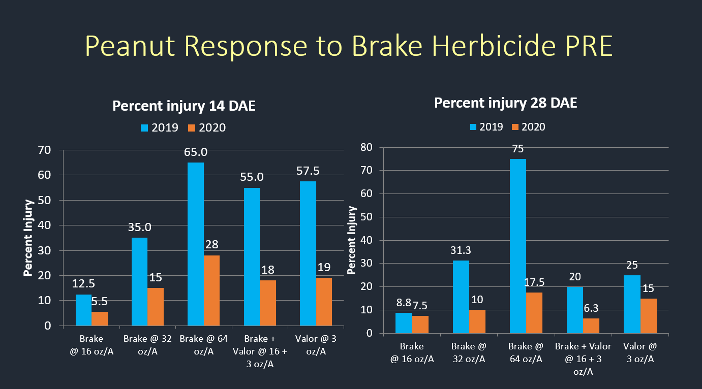 Peanut injury response following Brake herbicide applications alone and in combination with Valor PRE