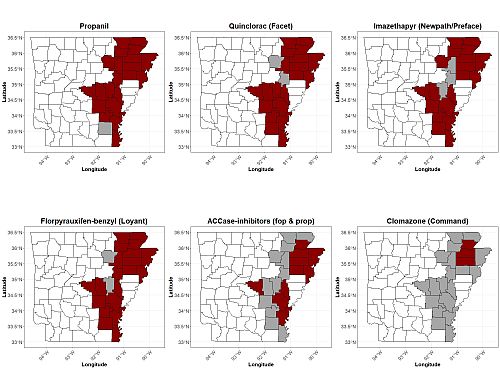 Barnyardgrass herbicide resistance map for multiple modes-of-action in Arkansas