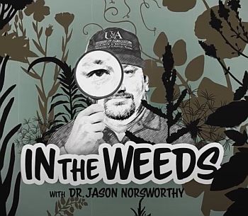 In the Weeds Video Series by Jason Norsworthy