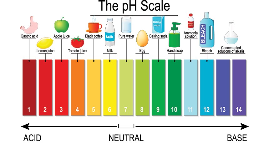 The pH scale represented with example solutions at each specific pH level.