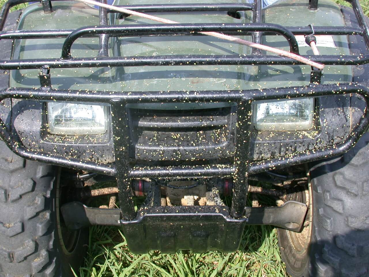 These are dallisgrass seeds with honeydew stuck to the front of a 4 wheeler after driving through the pasture.