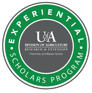 Experiential scholar program logo