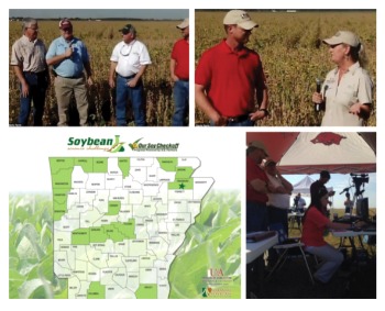 Soybean science virtual field trip montage image: men in a field, man being interviewed by a woman, map of arkansas, people under an awning