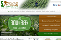 The Miracle Bean Website
