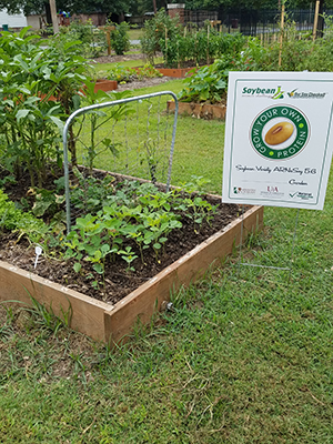 1st United Methodist Garden Pine Bluff