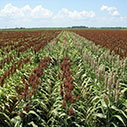 Future Ag Leaders Tour