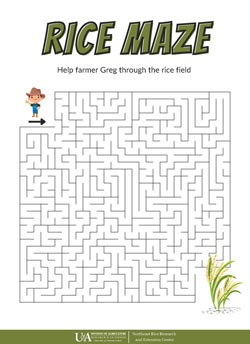 rice maze