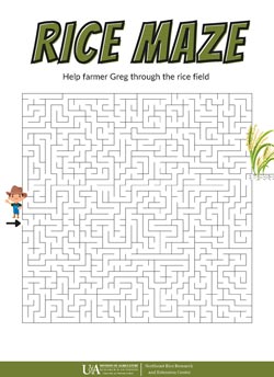 rice maze