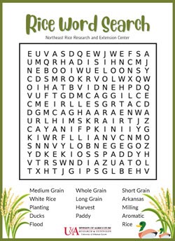 rice word search