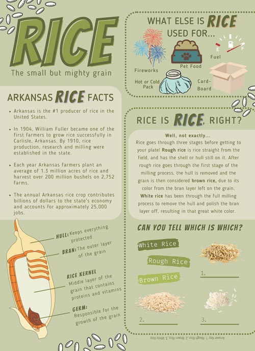 Rice Info