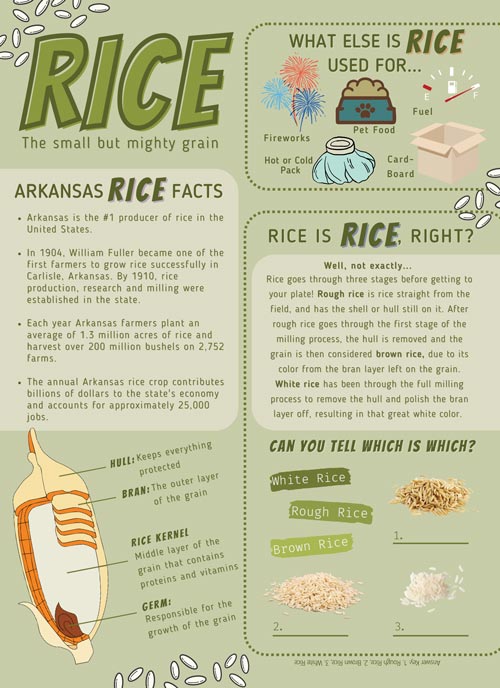 Rice Info