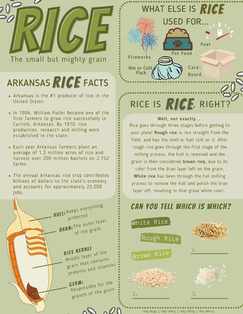 Rice Info