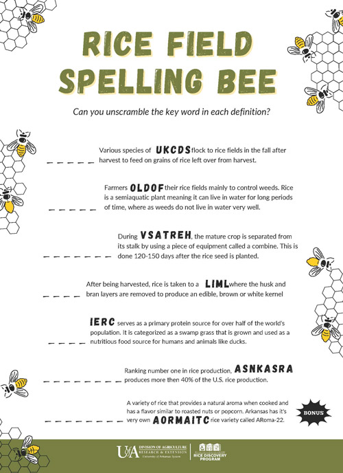 Rice field spelling bee