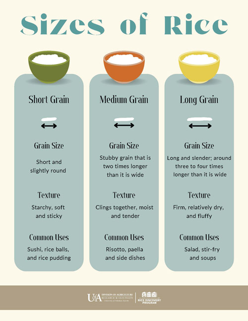 sizes of rice factsheet