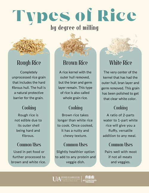 types of rice