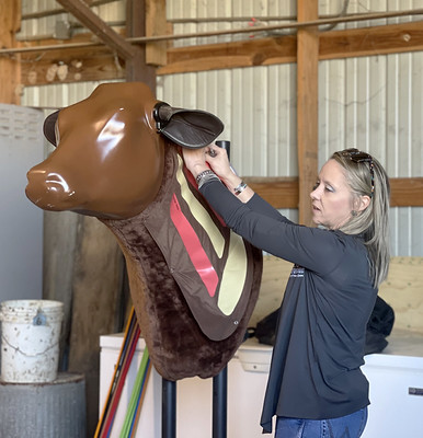 Woman working with model cow