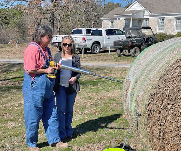 Woman demostrating how to take a hay sample with a probe in a bale of har