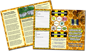 thumbnail of APSP brochure