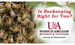 click to watch "Is Beekeeping Right for You?" into video