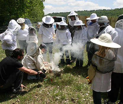 Beekeeper Education