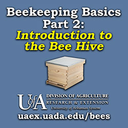 Beekeeping Basics Part 2: Introduciton to the Bee Hive 