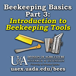 Beekeeping Basics Podcast Series