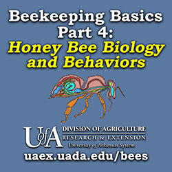 Beekeepers Club — Students — Penn State College of Agricultural