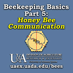 Beekeeping Basics Podcast Series