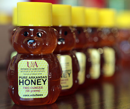 All About Honey