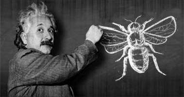 Albert Einstein