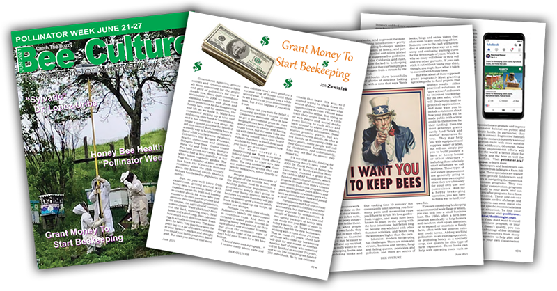 small image of article printed in Bee Culture magazine article