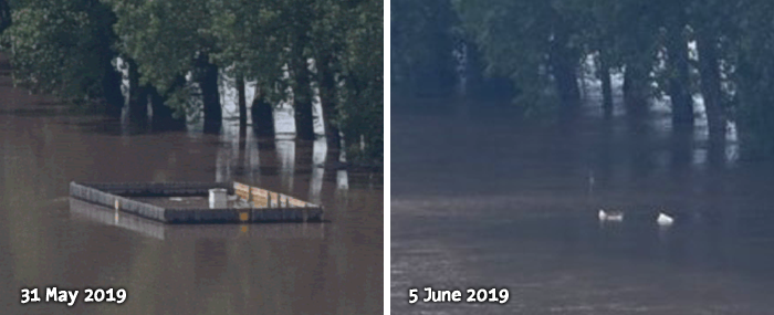 Bee Hives In Flood Conditions