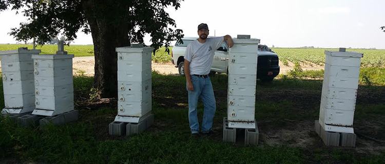 beekeeper with bee hives near farm