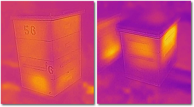 infrared camera image of bee hives