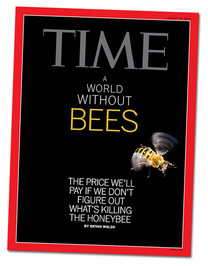 cover of Time Magazine about bee health