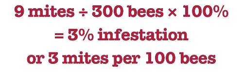 9 mites divided by 300 bees times 100% equals 3% infestation or 3 mites per 100 bees