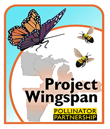 Project Wingspan logo