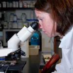 laboratory worker uses microscope to check water sample for bacteria