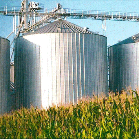 Grain Handling Safety