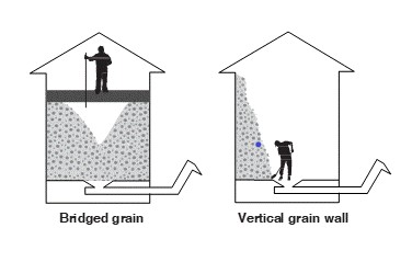 Bridged Grain and Vertical Grain Wall