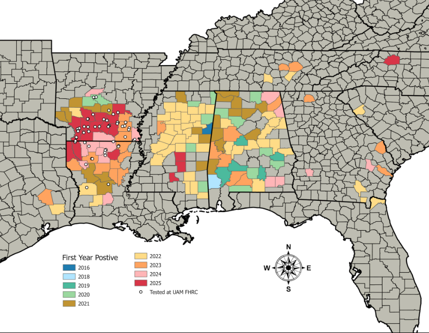 USDA map of needle blight
