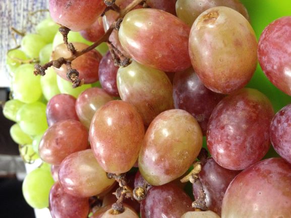 grapes