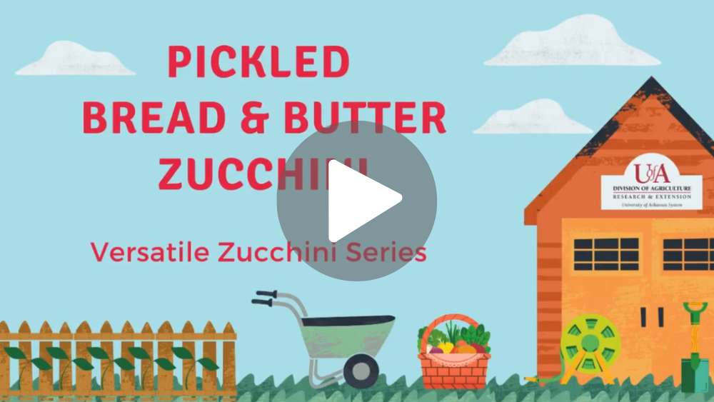 pickled zuchinni video