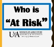 page of a powerpoint titled "Who is at Risk?"
