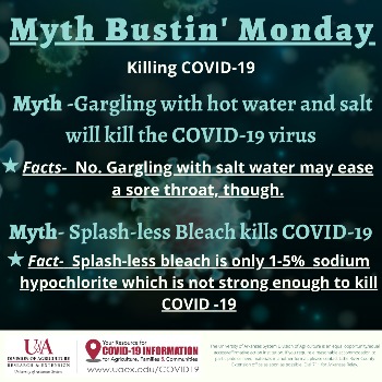Myth Bustin'Monday Graphic with picture of COVID-19 virus in the background Myth Bustin'Monday Graphic with picture of COVID-19 virus in the background
