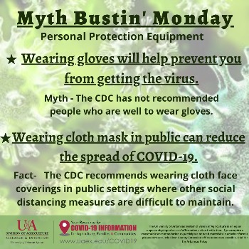 Graphic explaining myths about PPE with a picture of the COVID-19 virus in the background Graphic explaining myths about PPE with a picture of the COVID-19 virus in the background
