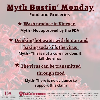 Myth Bustin'Monday Graphic with picture of COVID-19 virus in the background