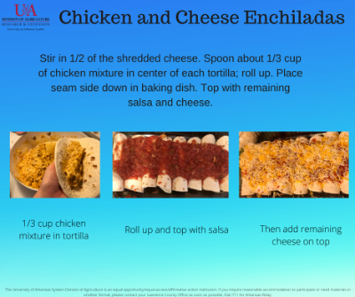 chicken mixture placed in tortilla, salsa on top of enchiladas, cheese on top of salsa